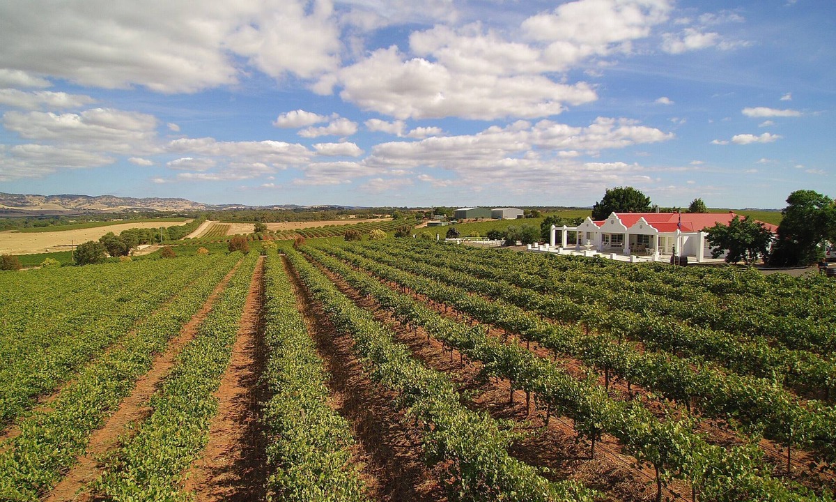 Lyndoch Cottage | 1837 Barossa Luxury Vineyard Cottage #2, Lyndoch SA