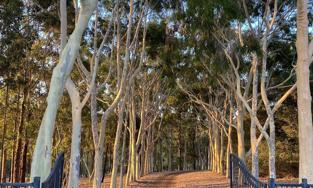 Margaret River Cabin | A peaceful retreat nestled on the banks of the Margaret River