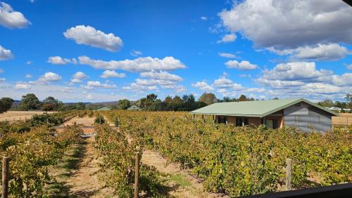 Henley Brook Cabin | Albion On Swan
