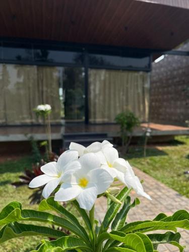 Shrirangapattana Resort | Alpha Wellness Resort Mysore