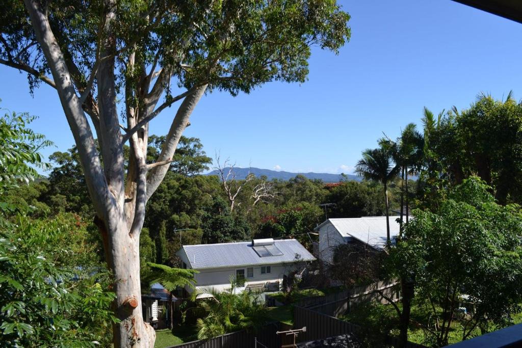 South West Rocks Apartment | Ashmore