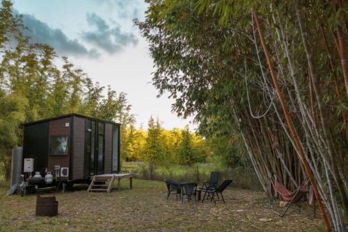 Bauple House | Bamboo Grove by Tiny Away