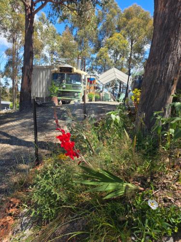 Southern Boat Rental | Banksia Bus