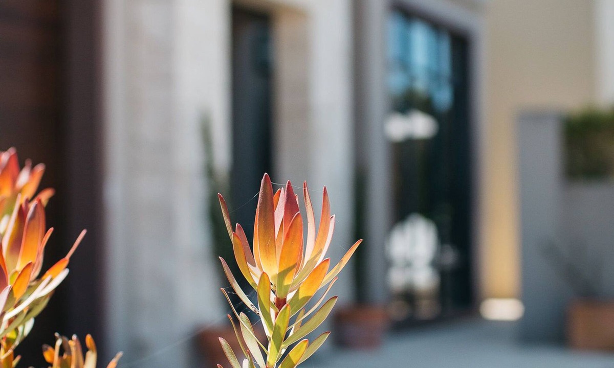 Collingwood Park House | Banksia by the Bay