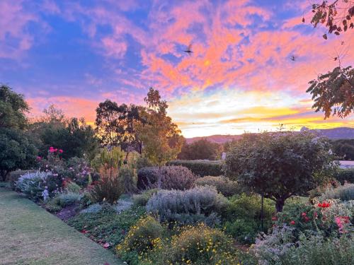 Williamstown House | Barossa Garden Homestay