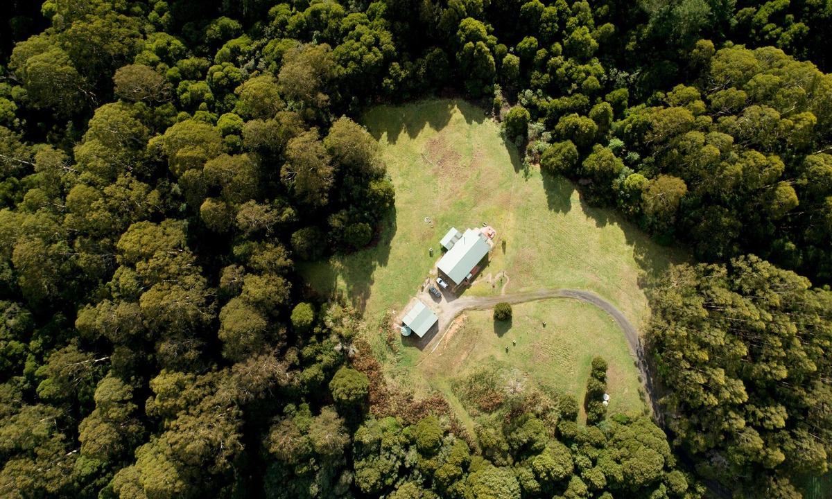 Barramunga House | Barramunga Cosy Rainforest Retreat with Great Ocean Road convenience.