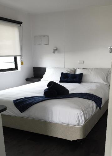 Potato Point Resort | Beachcomber Holiday Park
