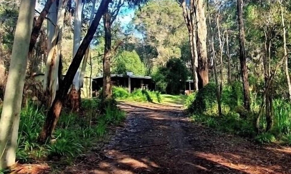 Denmark House | Beautiful, relaxing bush environment, walking distance to town centre.