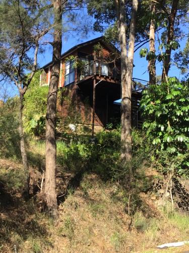 Buderim Apartment | Beautifully Elevated Treehouse Apartment