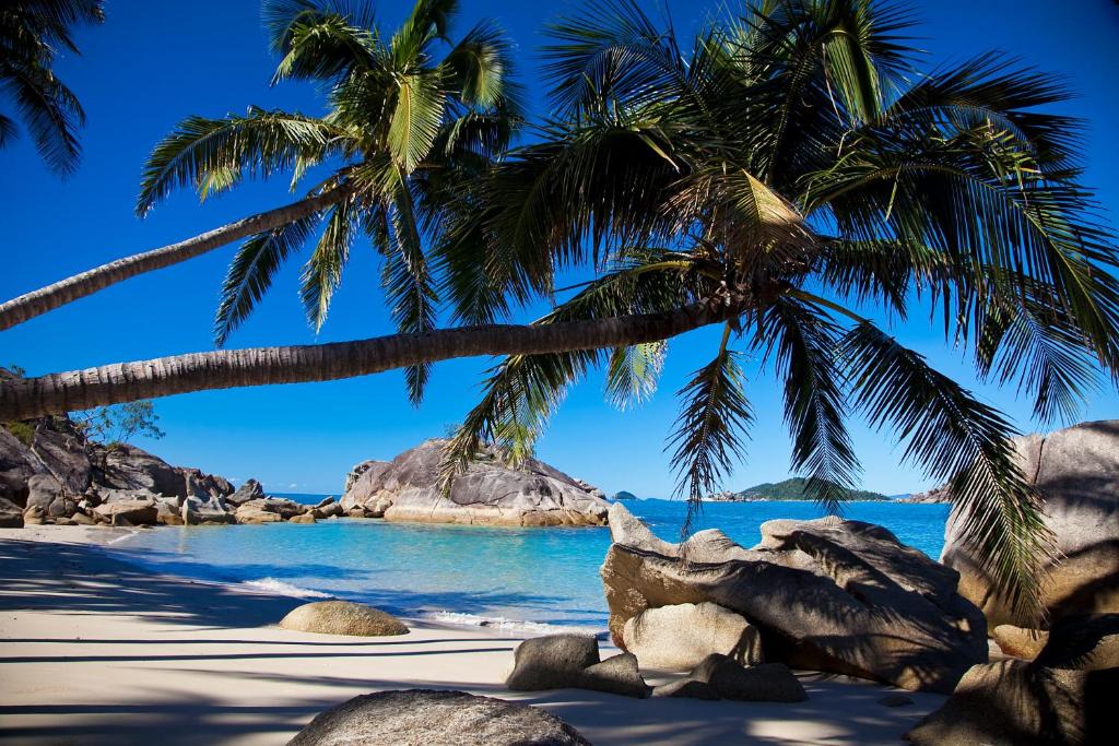 Bedarra Island House | Bedarra Beach House water taxi included