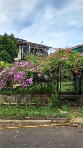 Bentong House | Bentong Cottage