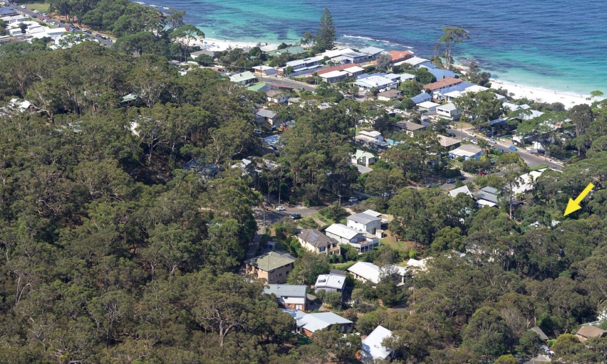 Hyams Beach House | Black Wattle at Hyams Beach