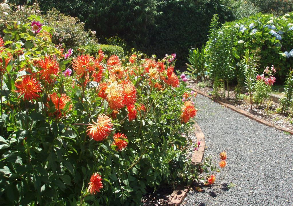 Boat Harbour House | Boat Harbour Garden Cottages