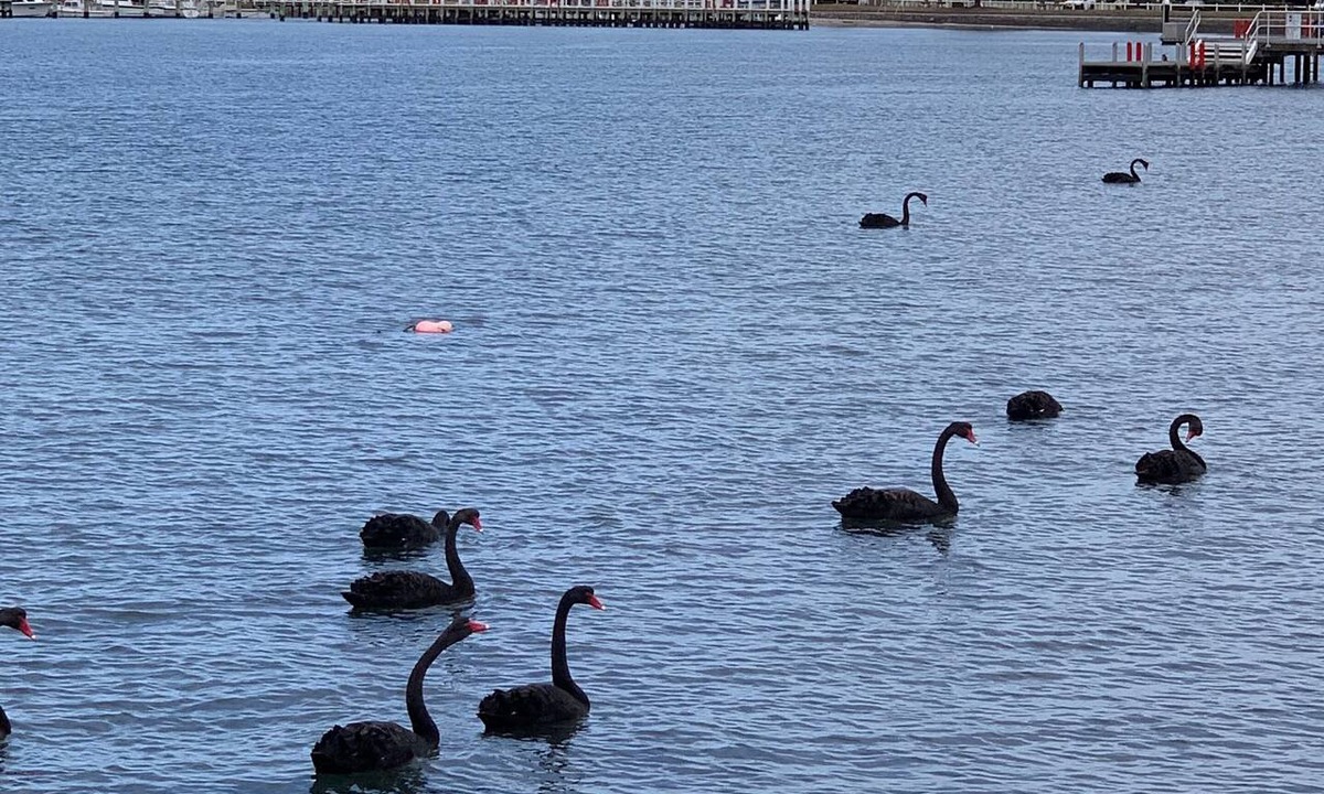 Port Albert Bed & Breakfast | Boat Harbour Jetty B&B