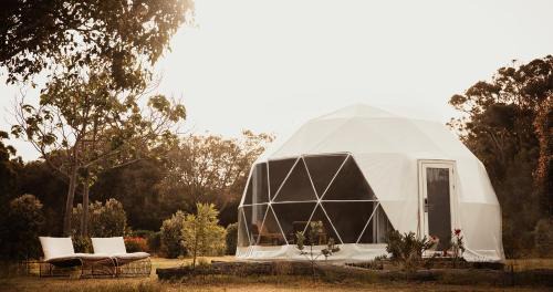 Augusta Other | Boogaloo Camp