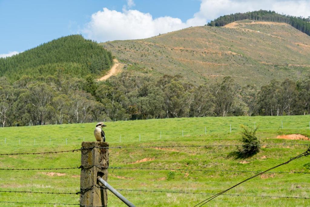 Bright Resort | Bright Cabin & Caravan Park