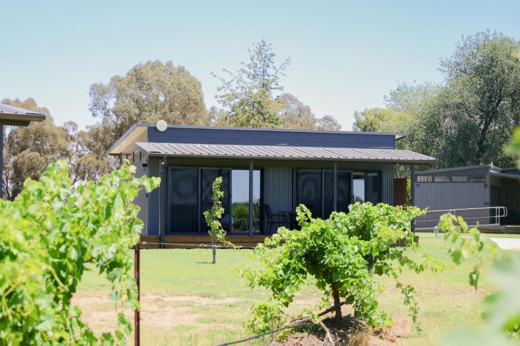 Rutherglen Apartment | Buller Wines