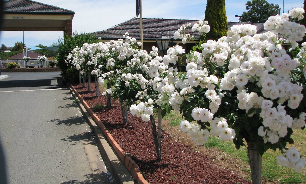 Parkes Hotel | Bushmans Motor Inn