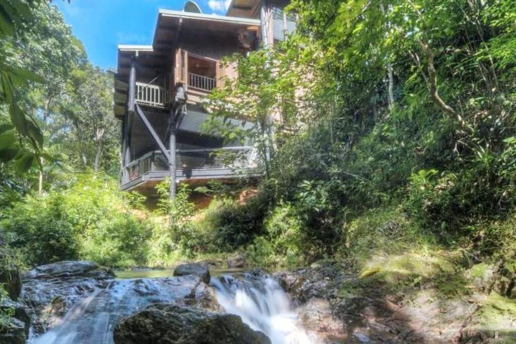 Cow Bay House | BUTTERFLY BEND - 3 Bedroom Daintree Beach House