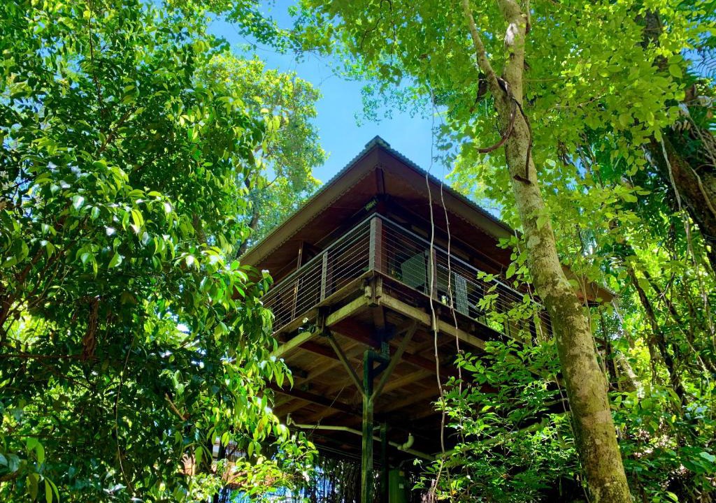 Bayview Heights Resort | Cairns Rainforest Retreat