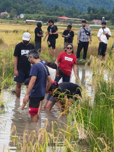 Itanagar Other | Camp Wildnest Adventures Ziro