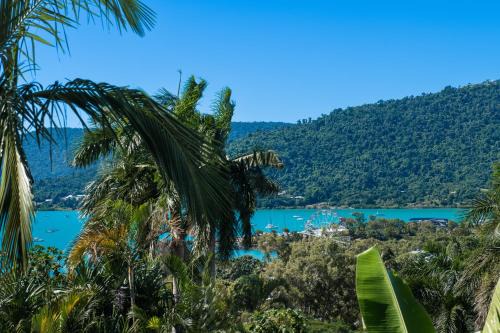 Airlie Beach Villa | Casa Corallo