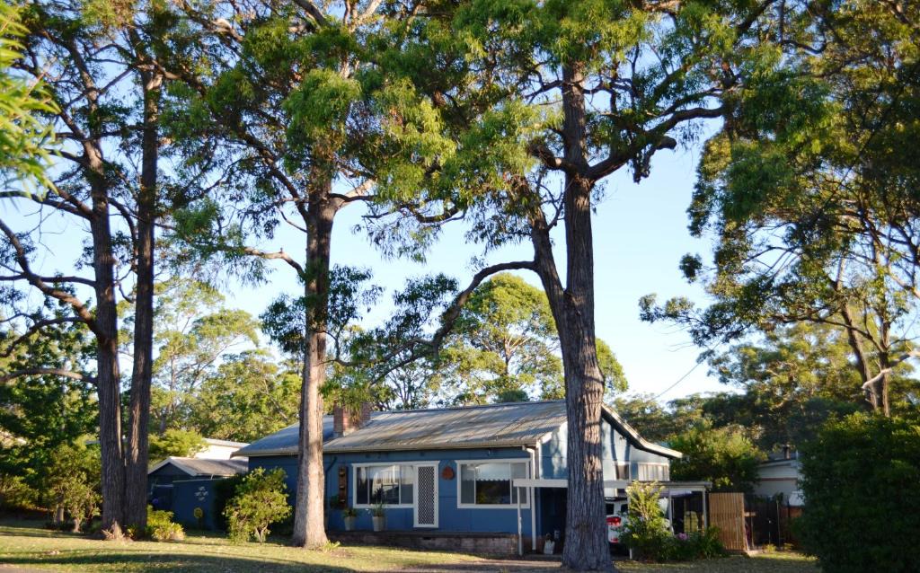 Huskisson House | Casa Husky