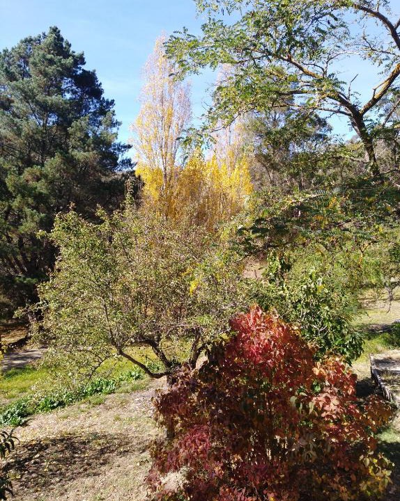 Hepburn Springs House | Cheerful Bush House