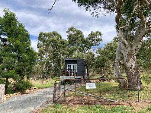 Mount Fairy Apartment | Cherry Tree - Merigan Farm Stay - Bungendore - Mount Fairy