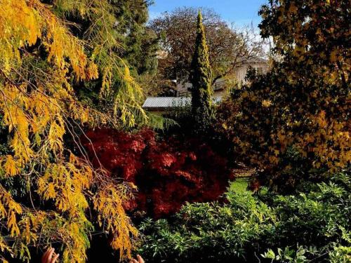 New Town Apartment | Comfy fully contained 2 bedroom home