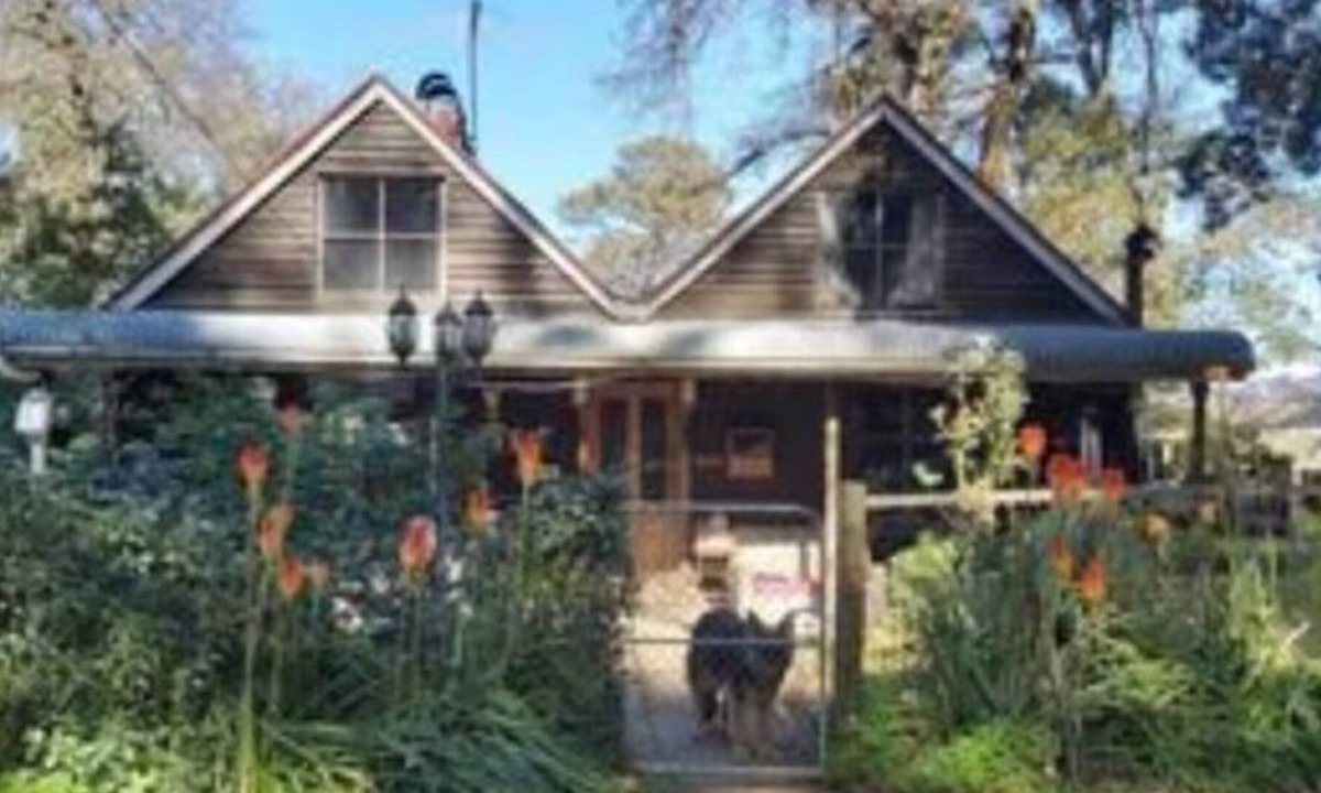 Mount Burnett Cottage | Cottage, nicely tucked away yet close to everything.