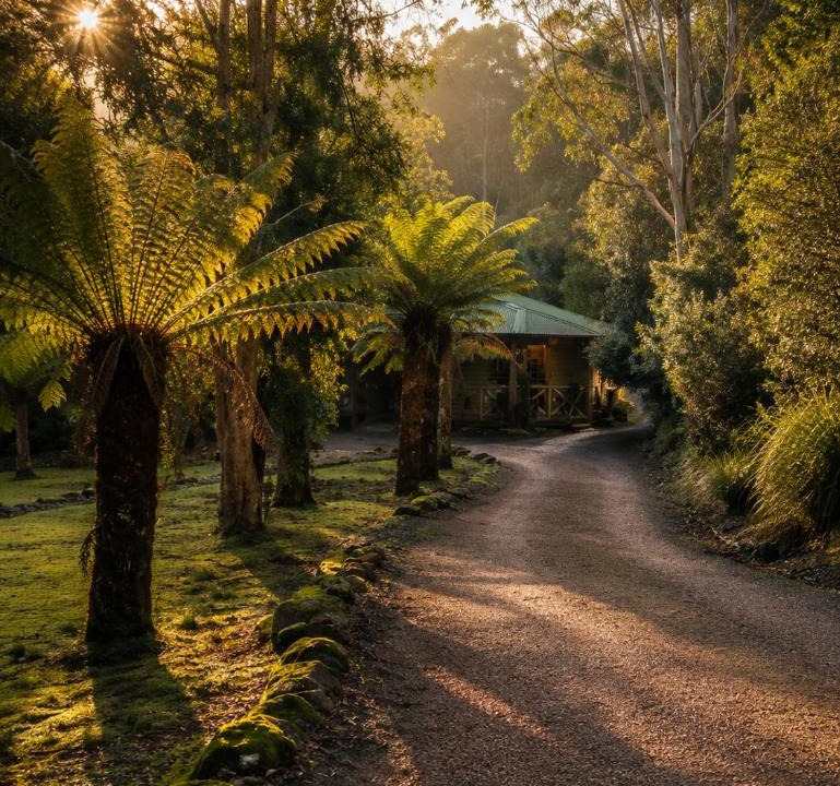 Moina Hotel | Cradle forest inn