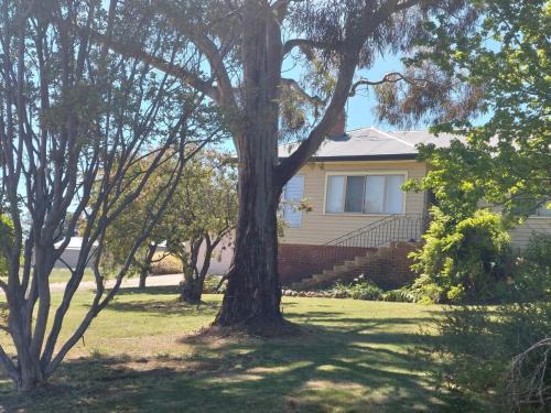 Nashdale House | Dally's Nashdale