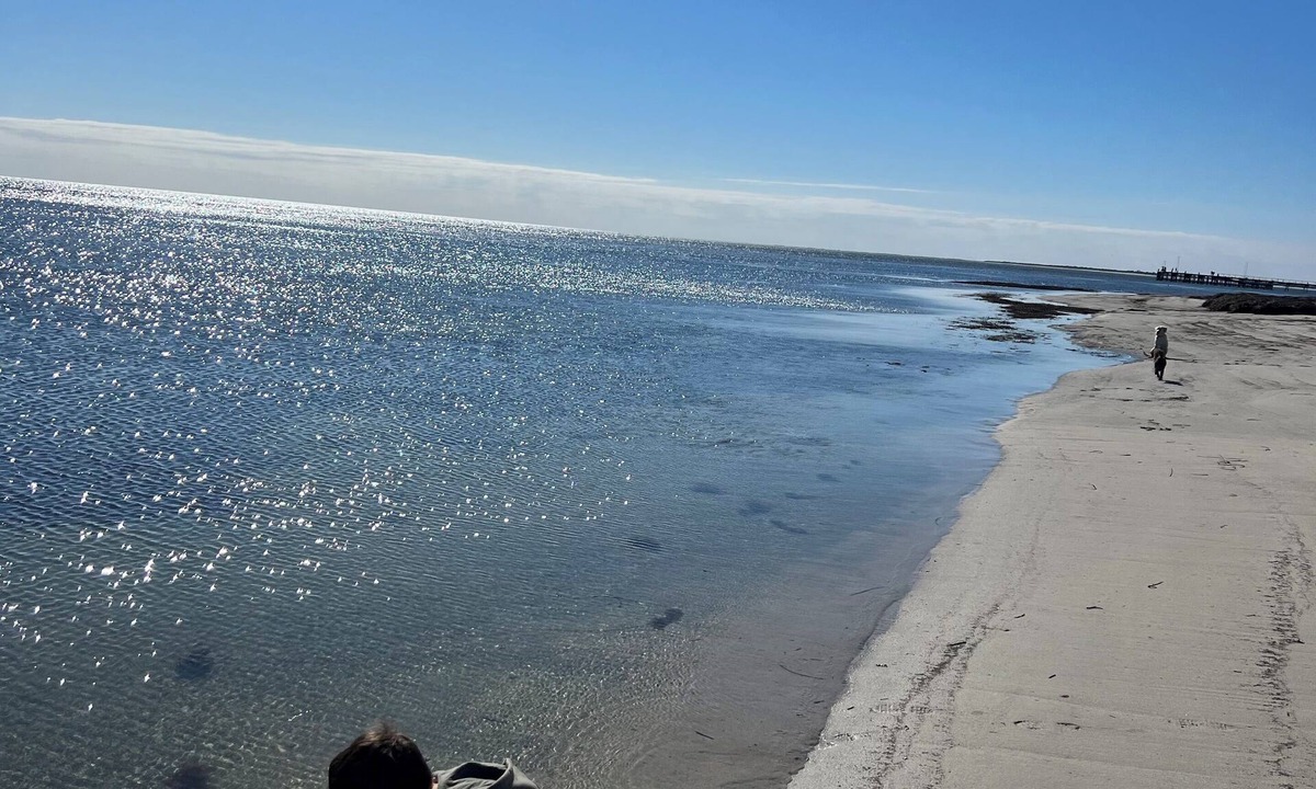 Cape Jaffa House | Dolphin Views@ Limestone coast Cape Jaffa Pet friendly. Boat parking Beach Front