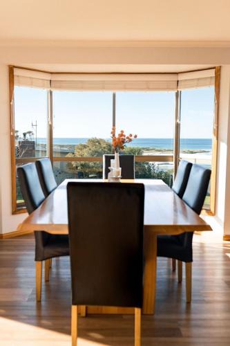 Scamander House | Drift - Watch the world go by