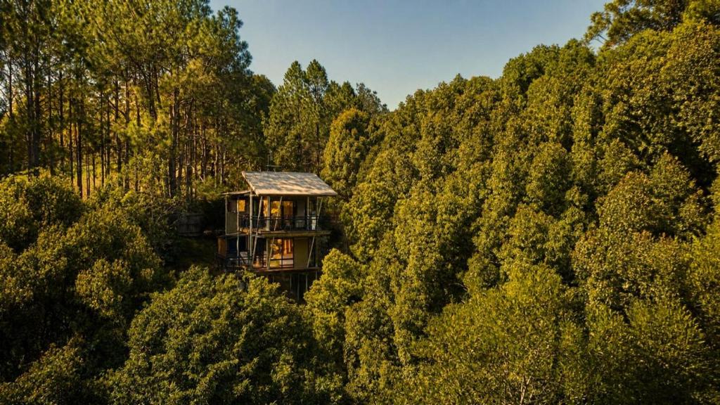 Smiths Creek Ski Chalet | Ecoasis Mami Wata Retreat