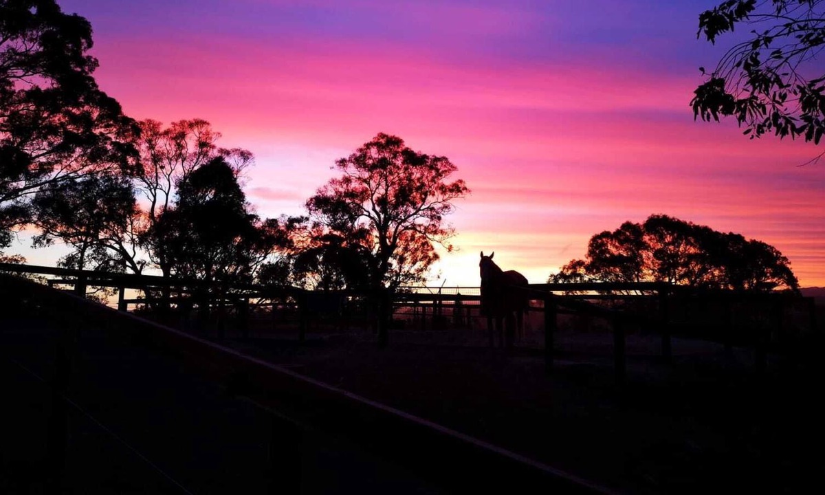 Woodside House | Equine retreat stay with silver medal Olympian