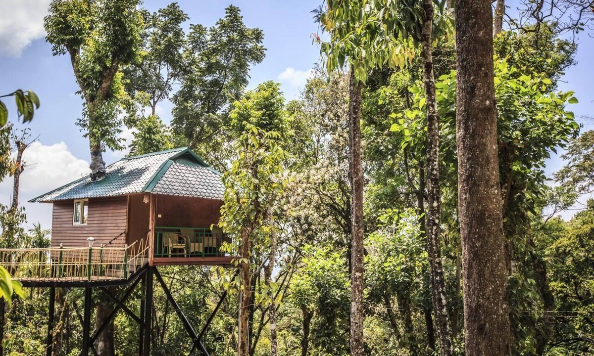 Pallivasal Resort | Excellent Resort with Amazing Rooms/Munnar
