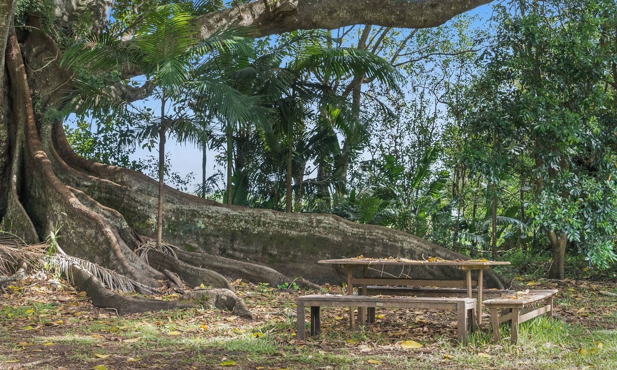 Teven House | Fig Tree House