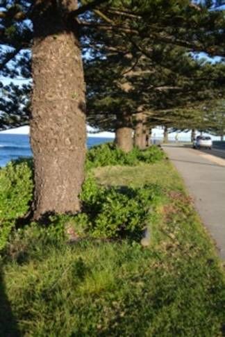 Tuross Head Apartment | Flat 3 Ella May Holiday Flats