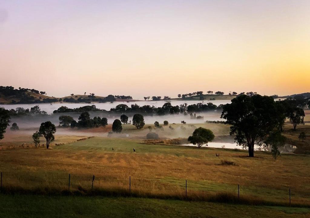 Grattai House | Grattai Grove Mudgee