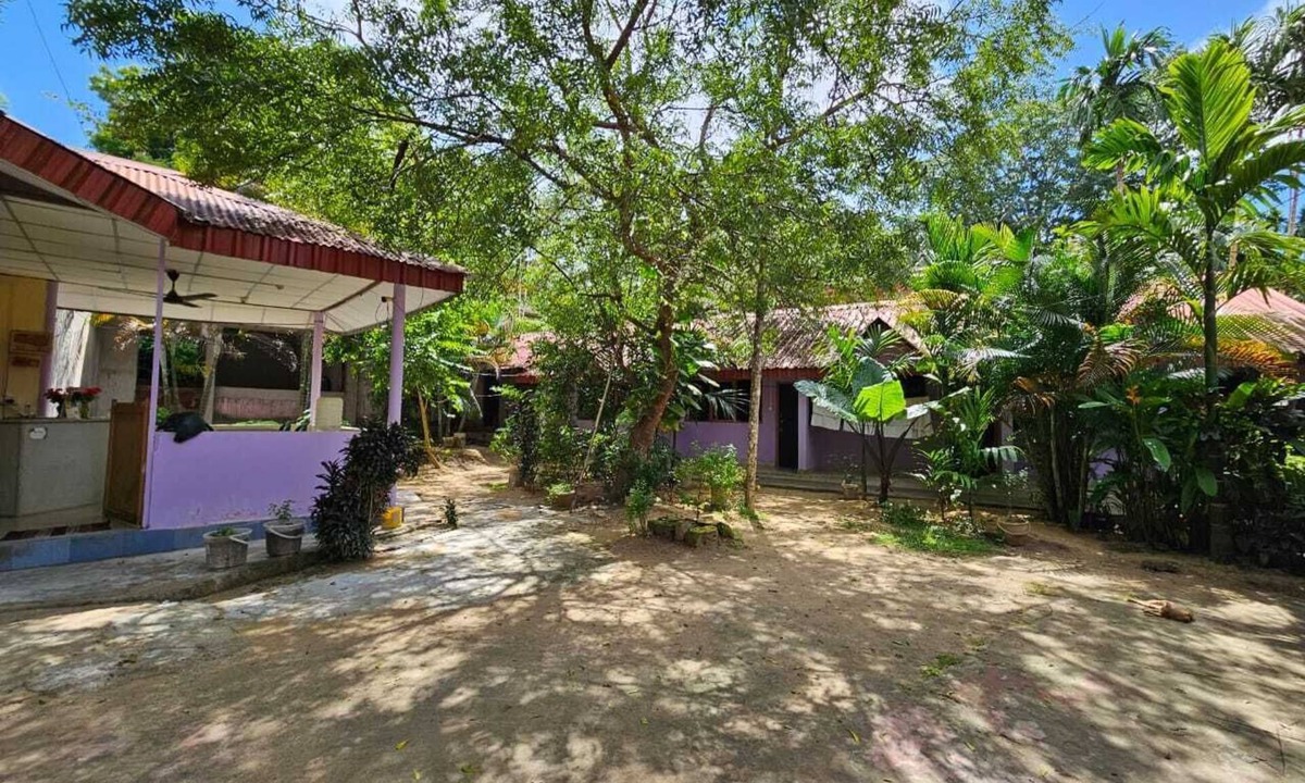 Havelock Island Hotel | Havelock Harmony Resort