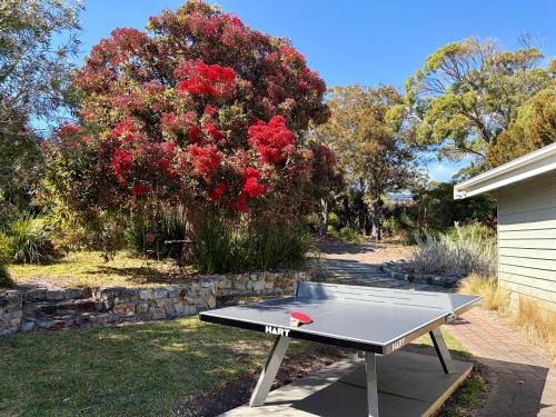 Binalong Bay House | HEXAGON BEACH HOUSE Binalong Bay of Fires Views