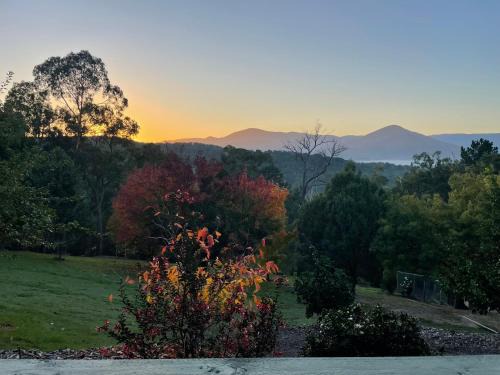 Healesville Apartment | Hillcrest Views Studio