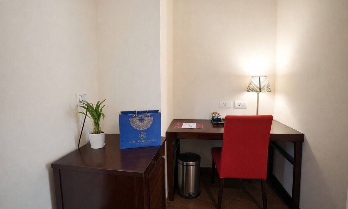 Sector 14 Hotel | Hotel Amber Palace