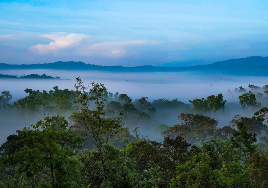 Madikeri House | Jade Hills Coorg