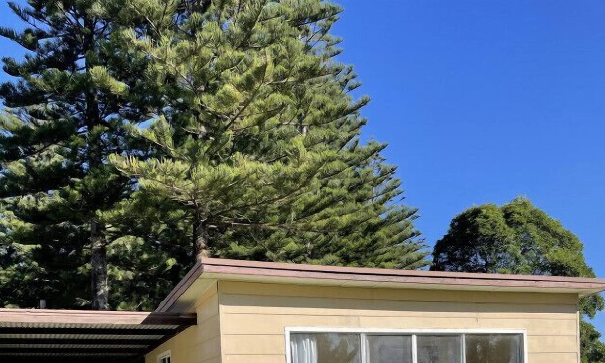 South Coast Cabin | Kioloa Beach Cabins 1