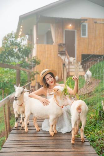 Mae Rim Cabin | Kirin Farm
