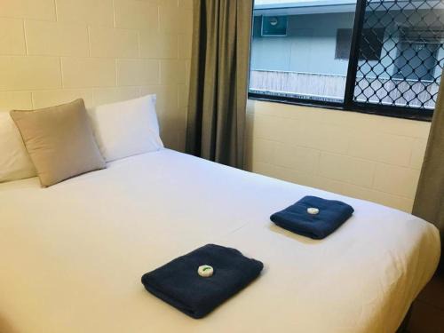 Cairns Central Business District Hotel | Koala Beach Resort Cairns