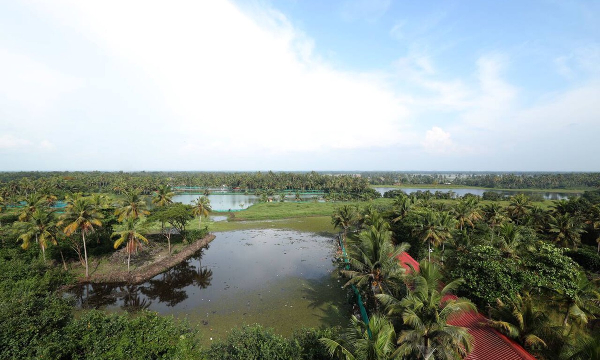 Kumarakom Hotel | Kumarakom Park Resort